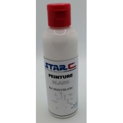 Peinture à l'eau blanche - 100 ml 