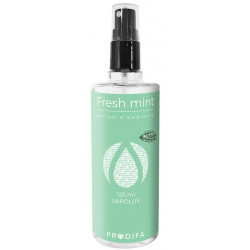 FRESH MINT - 125 ML - PARFUM VOITURE